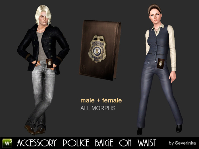 police ����3
